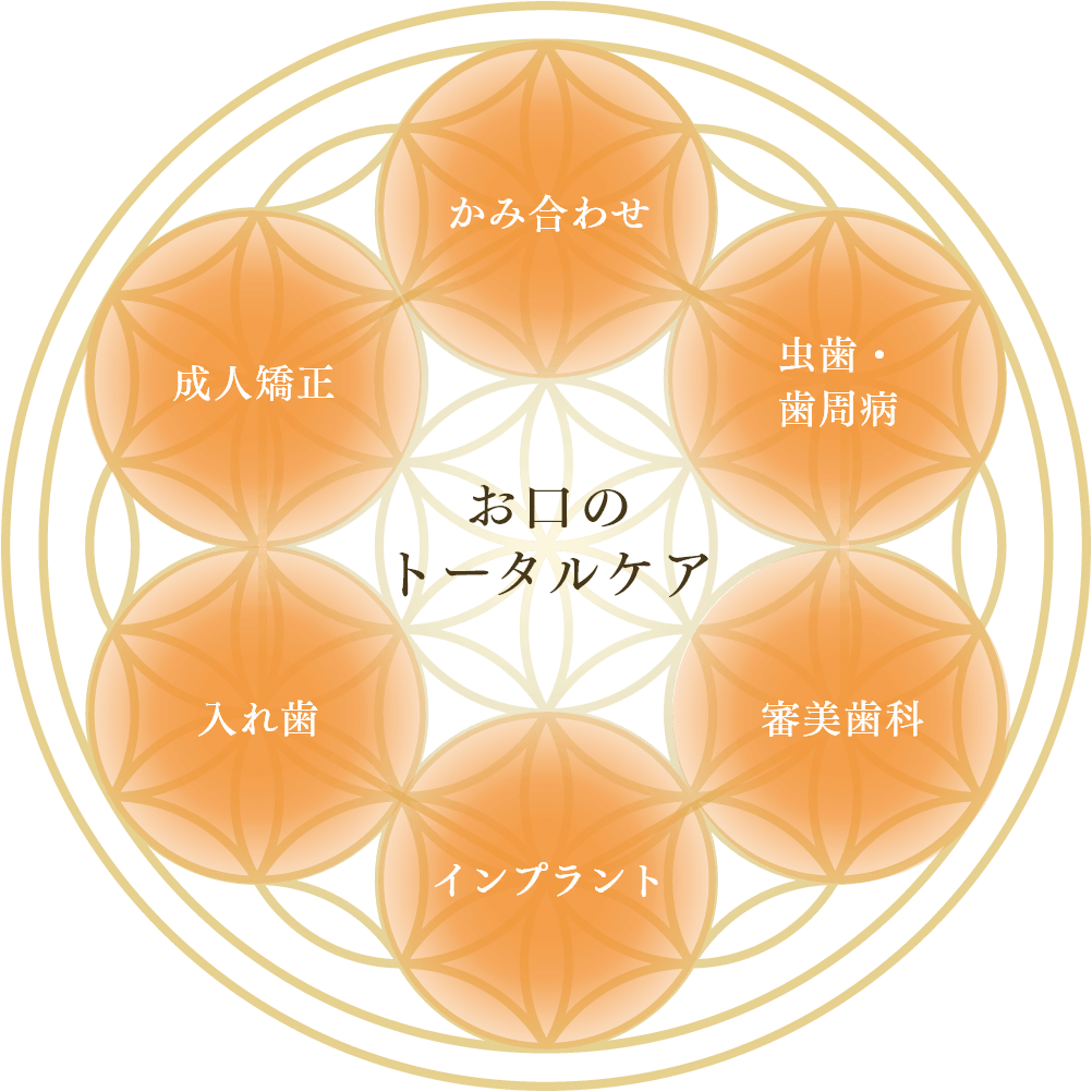 お口のトータルケア。かみ合わせ、虫歯・歯周病、審美歯科、インプラント、入れ歯、成人矯正を一体で診る図。